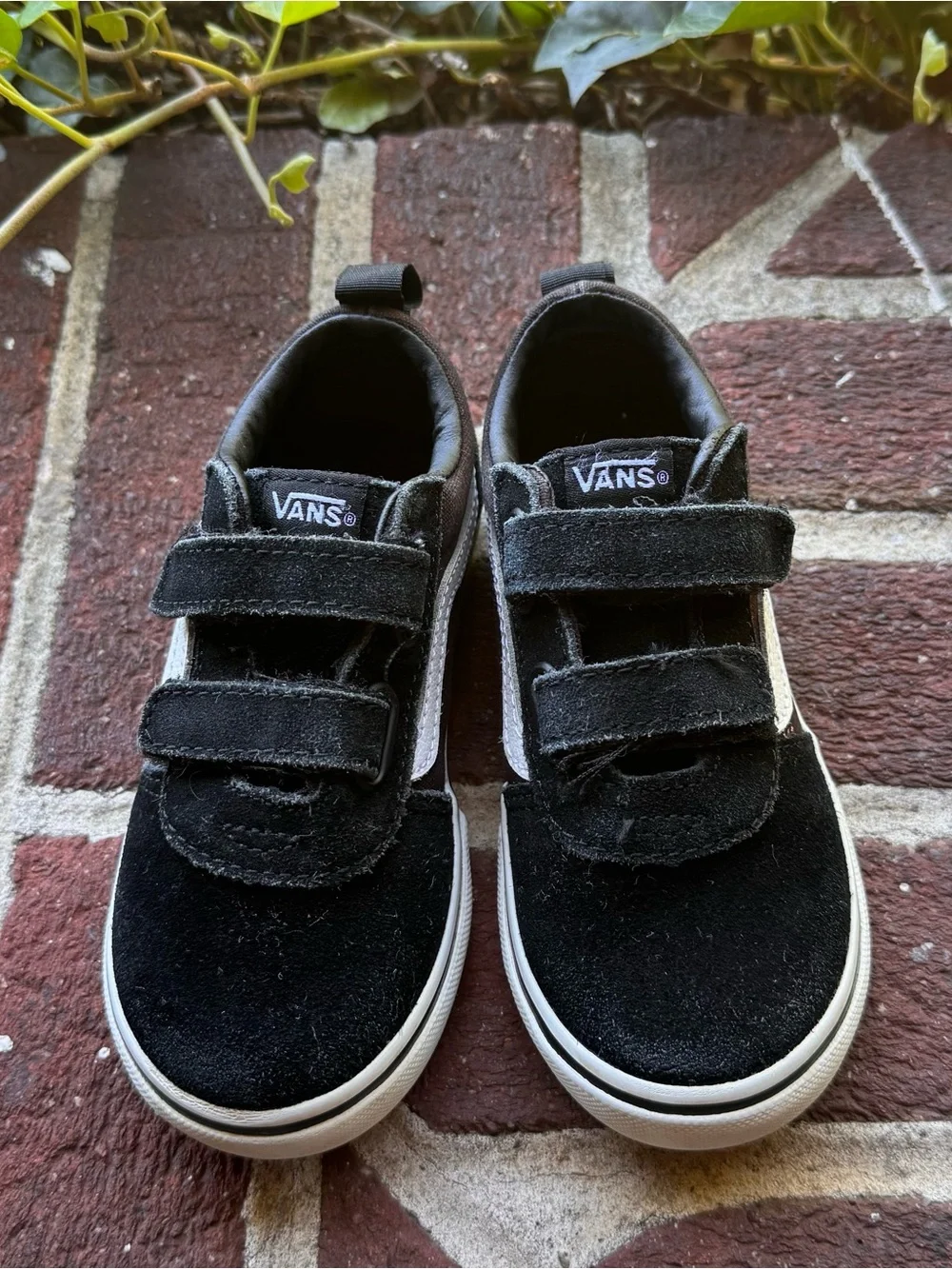 Vans kids velcro